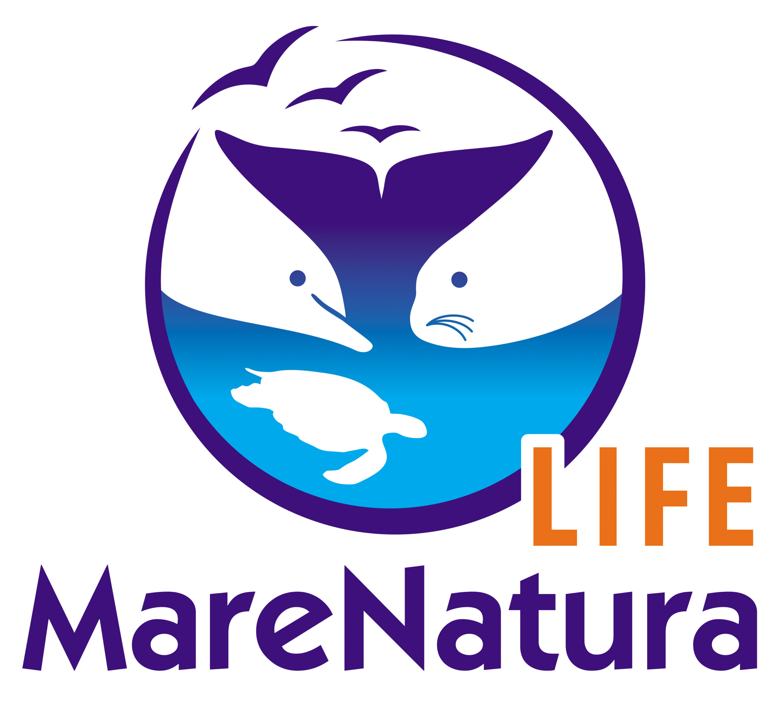 LIFE MareNatura – The largest marine biodiversity project implemented in Greece